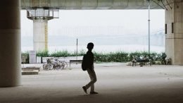 Herz Analog Accidental Walk Cover