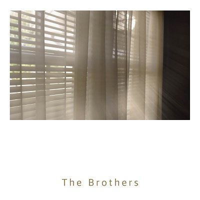 The Brothers I Don't Know Why Were Breaking Up Cover