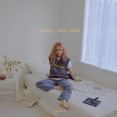 AVOKID sorry, too late Cover