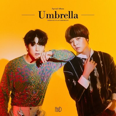 HD Umbrella Cover