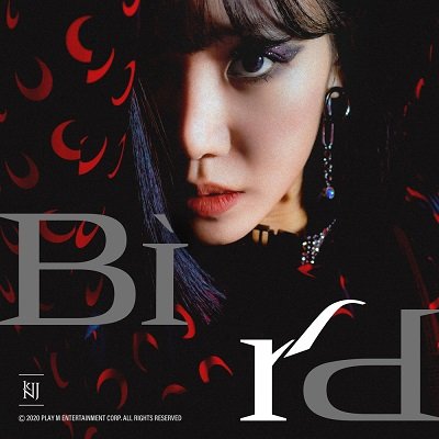 Kim Nam Joo Bird Cover