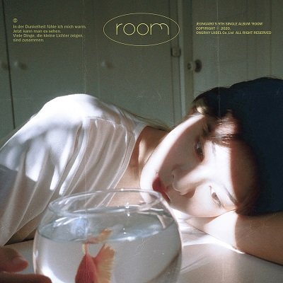 ARO Room Cover