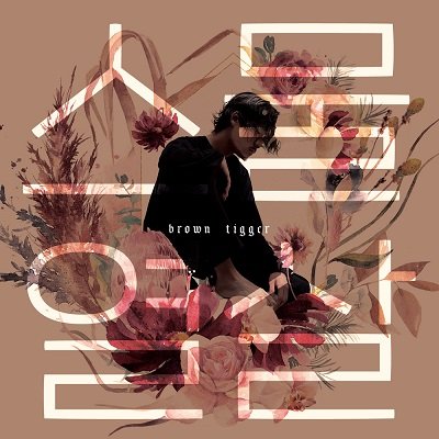 Brown Tigger Twenty-ten years old Cover