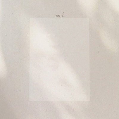Swan Space Cover