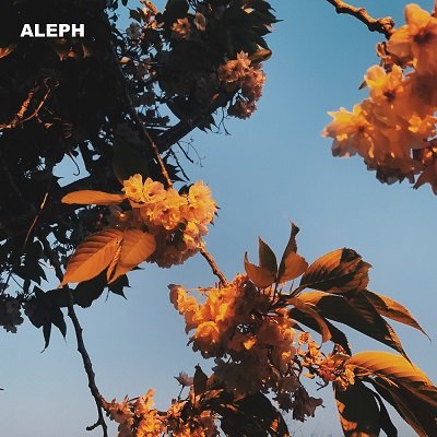 ALEPH Good bye blue days Cover