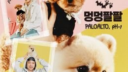 Paloalto & pH-1 Mungpal Cover