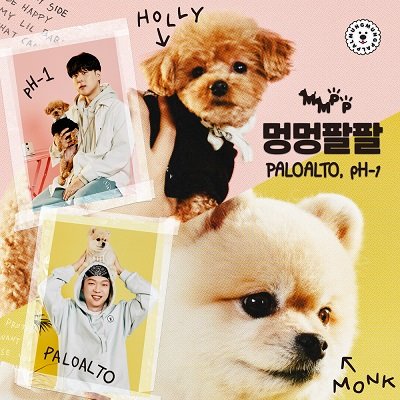 Paloalto & pH-1 Mungpal Cover