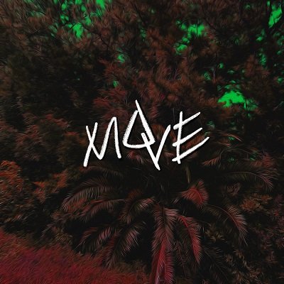 Heejae Shin Move Cover