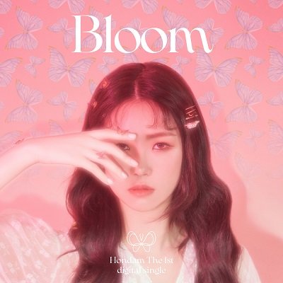 HONDAM BLOOM Cover