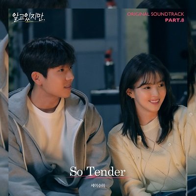 Say Sue Me Nevertheless OST Part 8 Cover