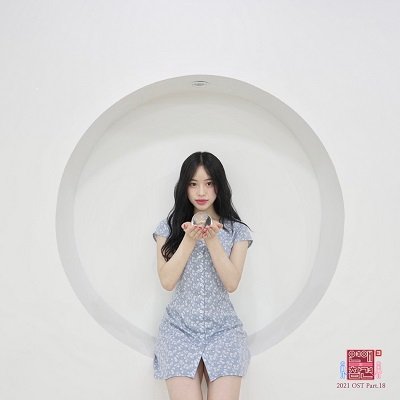 yourbeagle Baby Cover
