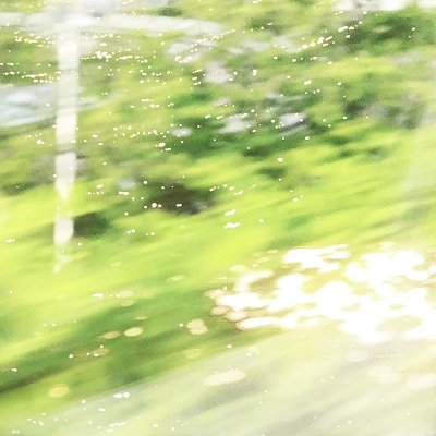 Artinb Forest Cover