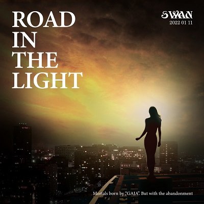 SWAN Road in the Light Cover