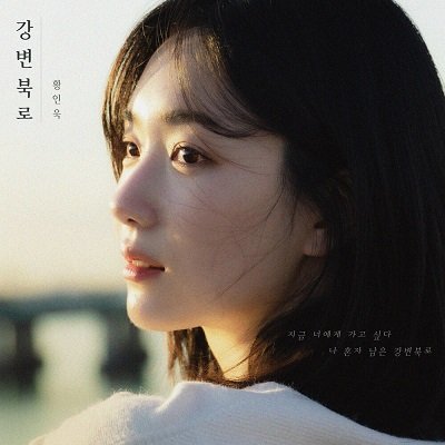 Hwang In Wook Gangbyeonbukro Cover